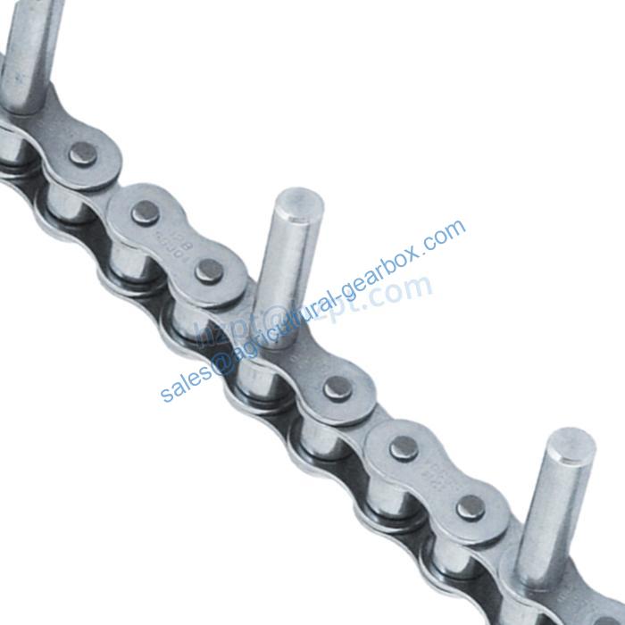 S62-D4 Chain